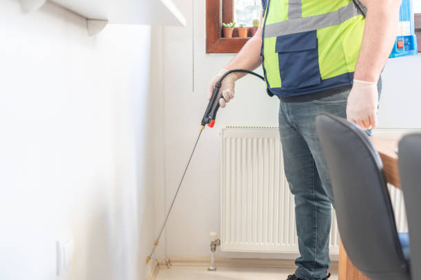 Flea Control Services in East Port Orchard, WA