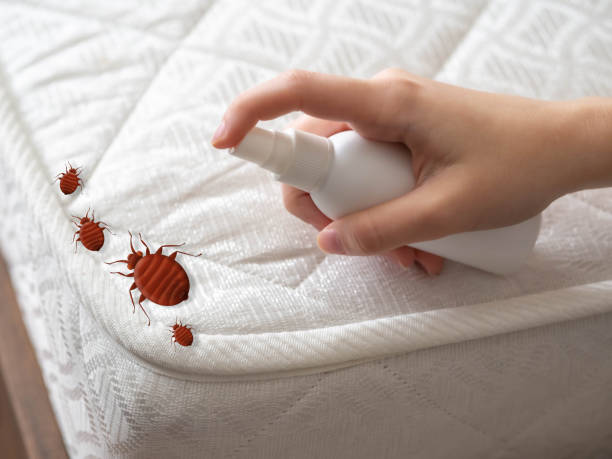 Best Cockroach Control Services  in East Port Orchard, WA
