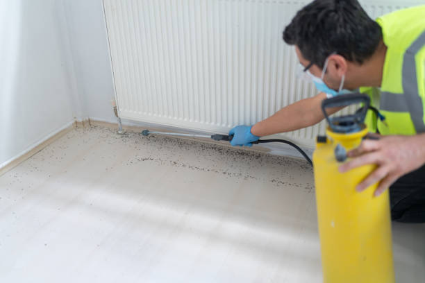 Best Wasp Removal Services  in East Port Orchard, WA